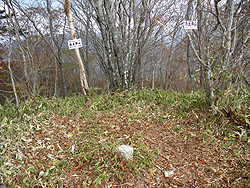 �푾�Y�R�R��(1392m)