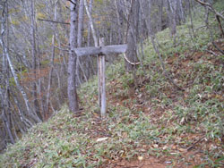 �������R�����̕W��