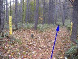 8���S������