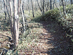 �������̓�