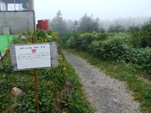 ���t�g����̓o�R���H