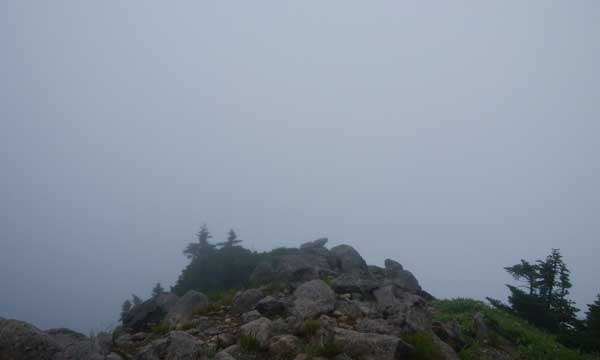 ����R�R������̒���