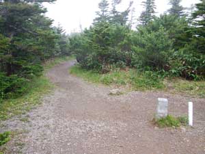 ���R�H�J�n�`�`