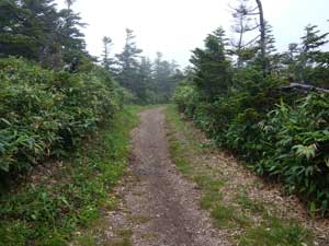 �J���オ�����B