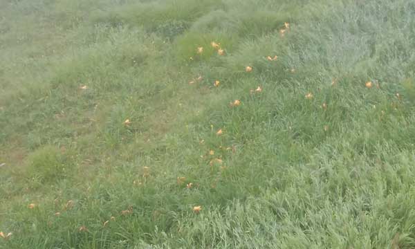 �j�b�R�E�L�X�Q