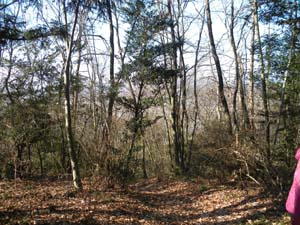 ���]�̓[��