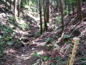 �o�R���ۂ���