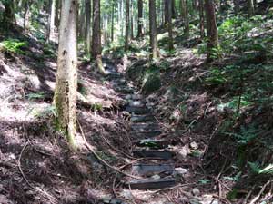 ���d�������H