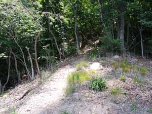 �S������̓�