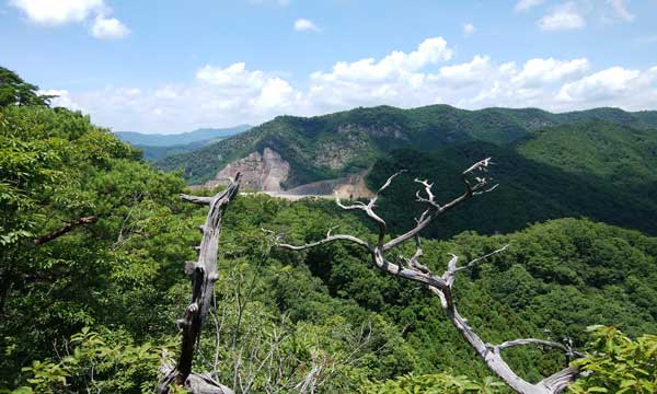 道中からの眺め