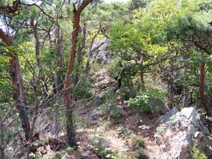 ���K(�H���R)����̓o�R��