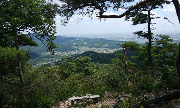 山頂からの眺め
