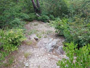 ���R�J�n�`