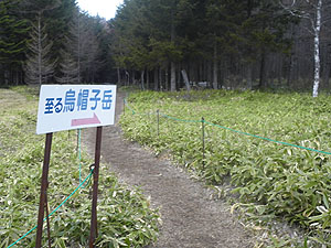 �L�����v��̒��𒼐i����B