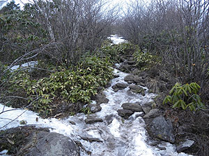 �o�R���ɂ͐�