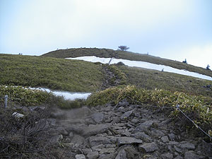 �ڎw���R�����낤�`���H