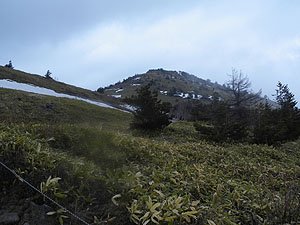 ���l�߂�ƁA���̐���������E�E�E