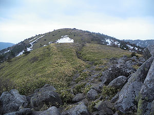 ���R�J�n�`