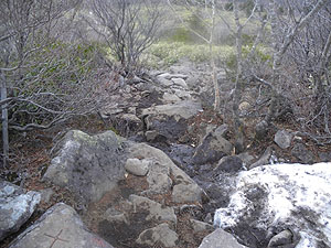 �S���S���Ƃ�����