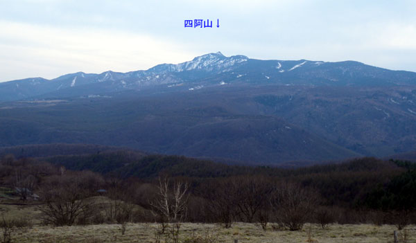 �l���R(�����܂₳��)